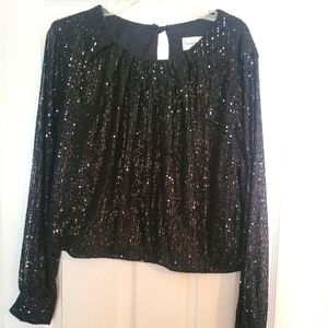 Sparkly long sleeve blouse
